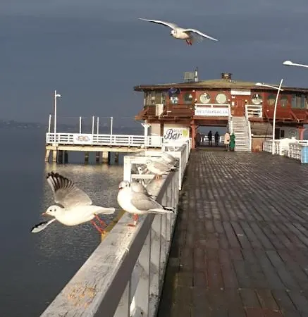 Dwa Kroki Do Zatoki *