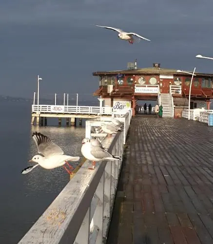 Dwa Kroki Do Zatoki *